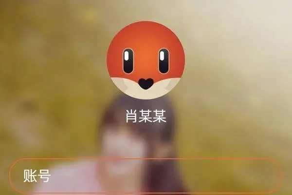 刚刚注册一个探探号能不能在电脑上登?